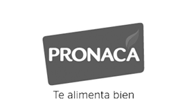 Pronaca